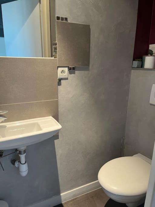 T2 Centre Ville Avec Vue Imprenable Chambéry 외부 사진
